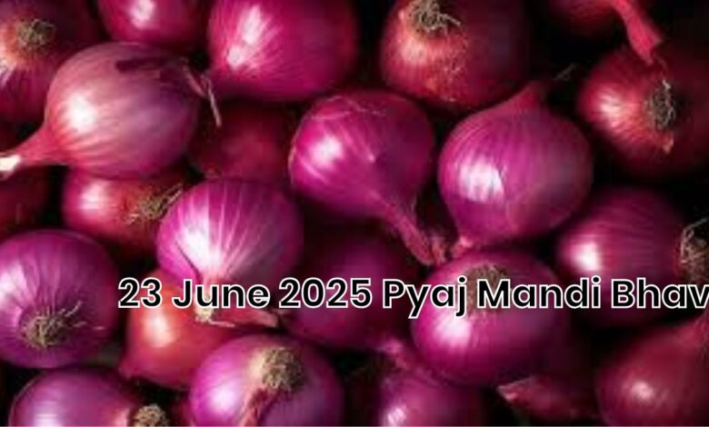 23 June 2025 Pyaj Mandi Bhav
