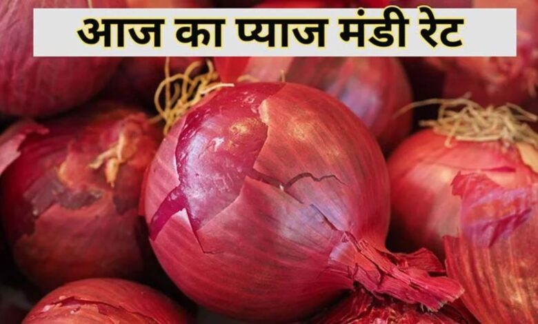 24 June 2025 Pyaj Mandi Bhav
