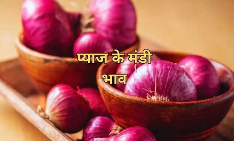 26 June 2025 Pyaj Mandi Bhav