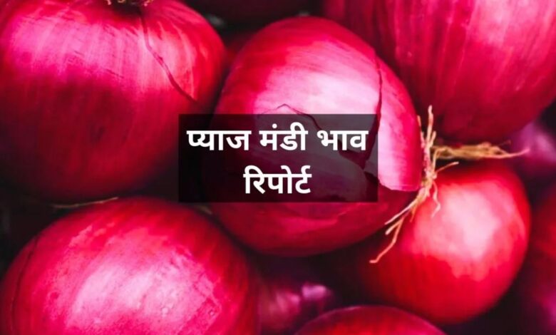 27 June 2025 Pyaj Mandi Bhav