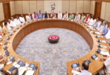 Central Cabinet News