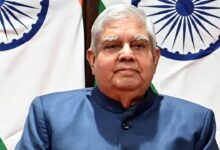 Vice President Pension