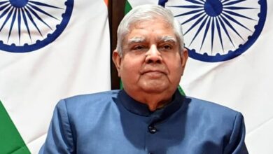 Vice President Pension