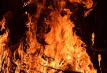 Bihar Crime News