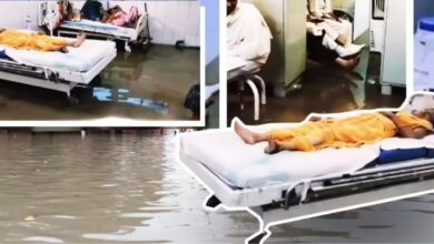 Bihar Flood news