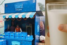 Milk Price Cut