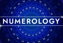 Ank Jyotish November 2025